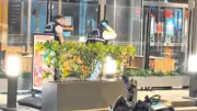 Kız Kavgası 2 Genci Hayattan Koparıp Yaraladı