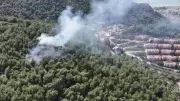 Muğla'da orman yangını paniği: Kısa sürede kontrol altına alındı