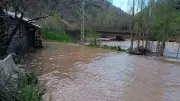 Şırnak'ta Habur Çayı Taştı: Ev ve Ahırlar Sular Altında Kaldı