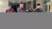 Samsun'da gelinini taciz ettiği iddiasıyla tutuklama