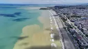 Samsun'da Sağanak Yağışlar Denizin Rengini Kahverengiye Çevirdi