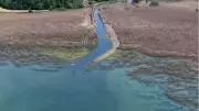 Sapanca Gölü'nde su seviyesi 29,98 metreye yükseldi
