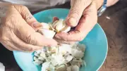 Sarımsak Kasları Canlı ve Diri Tutuyor: Bilimsel Araştırma