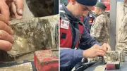 Selin Vurduğu Havza'da Jandarma Çamurda 6 Bin TL Buldu
