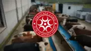 İsmailağa Vakfı'ndan 2026 Kurban Bayramı'nda 'Paylaşarak Yakınlaş' Kampanyası