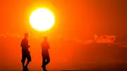 Süper El Nino Nedir? Neden Olur, Ne Zaman Başlayacak, Dünyayı Nasıl Etkileyecek?