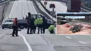 İstanbul'da Kamyondan Dökülen Vidalar Trafiği Felç Etti