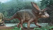 Tayland'da 27 Tonluk Dev Yeni Dinozor Türü Keşfedildi