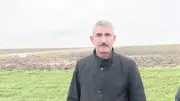 Trakya'da kuraklık kanola ekimini artırdı, rekor verim bekleniyor