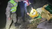 Van'da kaçak inci kefali avına 16 bin TL ceza