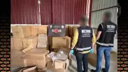 İzmir'de Rekor Kaçak Sigara Operasyonu: Son 5 Yılın En Büyüğü