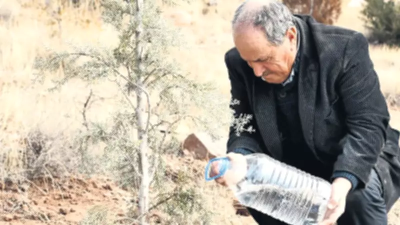 76 yaşındaki Mustafa amca her yıl 15 bin fidan dikiyor