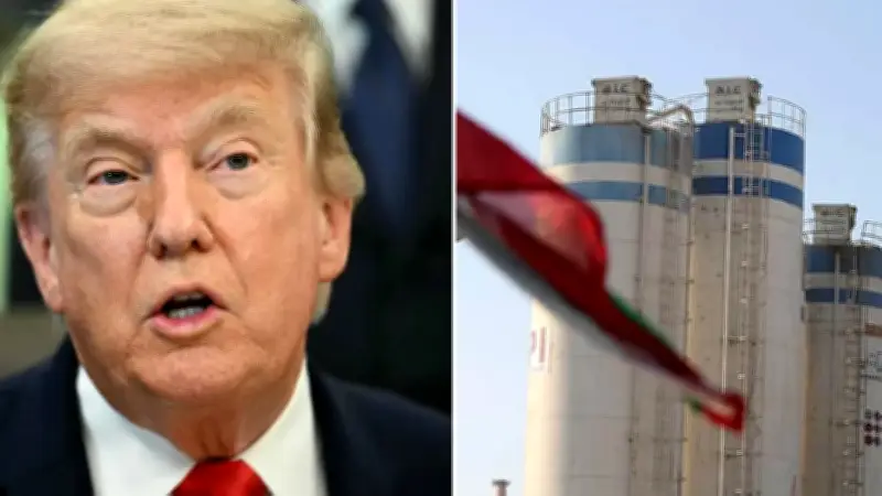 ABD'den İran'a kara harekatı iddiası: Trump durdurdu