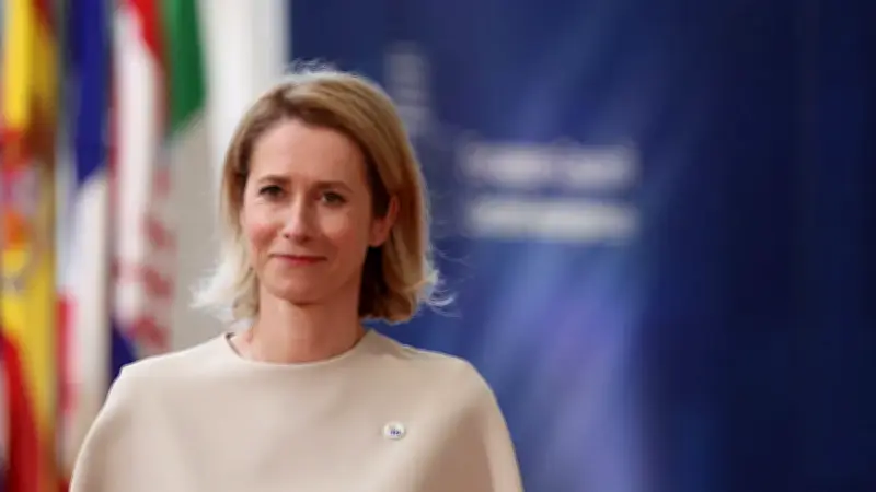 AB'den Türk savunma sanayisine övgü: NATO'da kritik konum