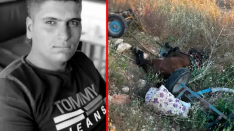 Şanlıurfa'da Kaza: Minibüs At Arabasına Çarptı, 1 Ölü 1 Yaralı