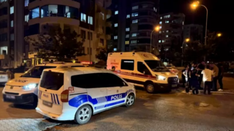 Şanlıurfa'da silahlı kavgayı ayırmaya çalışan anne öldü, oğlu yaralandı