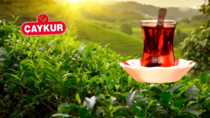 ÇAYKUR Genel Müdürü Alim: Tüm Çayı Alacağız, Üreticiler Rahat Olsun