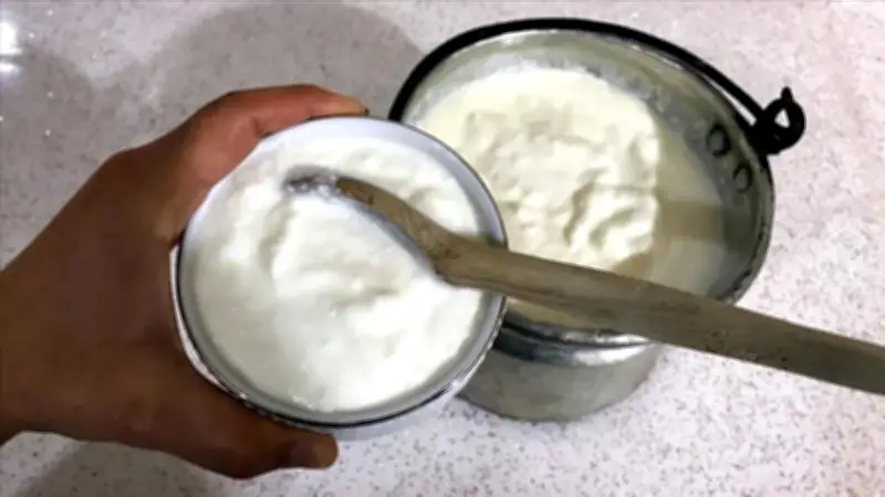 Ayran, yoğurt ve kefir üretiminde rekor: 4 ayda 809 bin ton