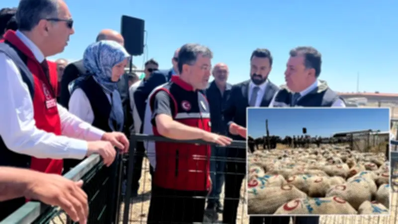 Bakan Yumaklı: Küçükbaş Hayvan Varlığımız 58 Milyonu Aştı