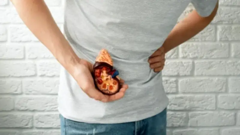 Böbrek Taşı Riski Uyarısı: Yeterli Su Tüketin