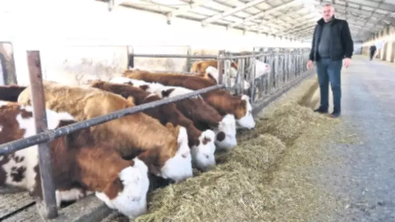 Besicinin geliri güvence altına alınıyor
