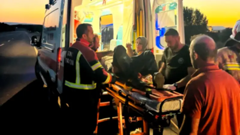Bingöl'de Kamyon Pikaba Arkadan Çarptı: 3 Yaralı