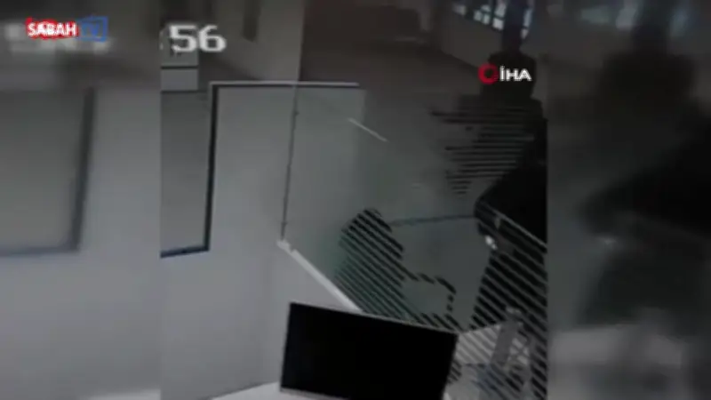 Bolu'da bankada işlem yaparken üzerine kedi düştü: 'Millete gökten para düşer, bize kedi'