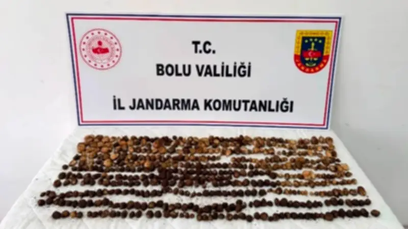 Bolu'da yasak salebe 3 kişiye 2 milyon TL ceza