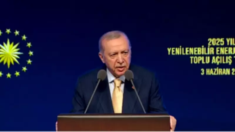 Cumhurbaşkanı Erdoğan: Yenilenebilir Enerji Yatırımları Sürüyor