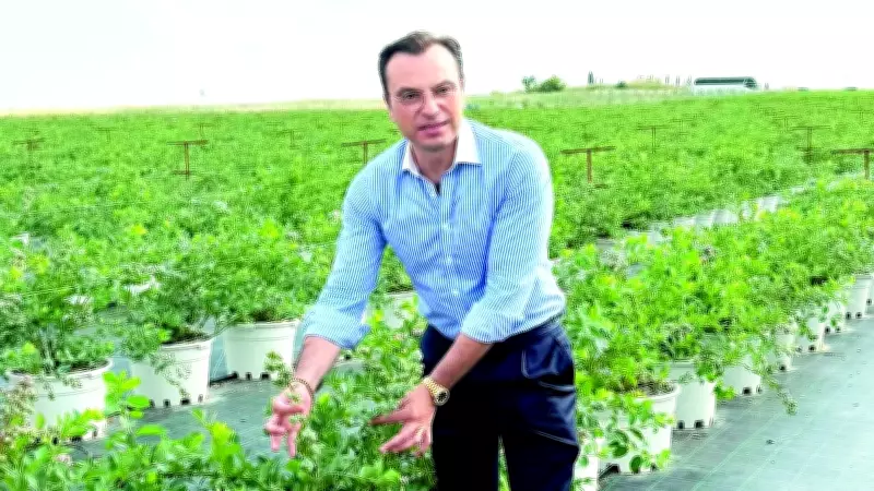 DCT Trading'den Edirne İpsala'da 4,5 Milyon Avroluk Yaban Mersini Çiftliği