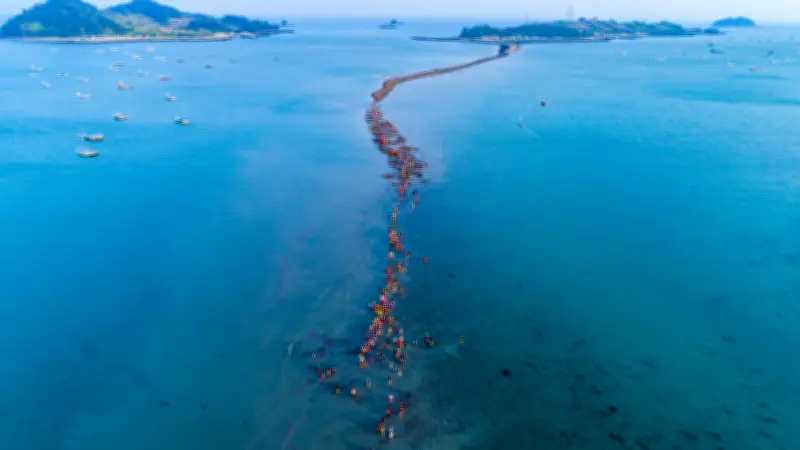 Deniz İkiye Ayrılıyor: 2.9 km'lik Yolda Koşuşturma