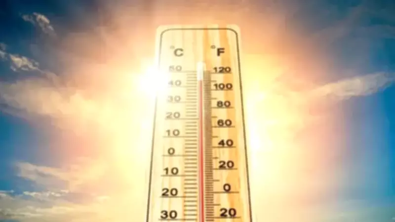 Dünya Meteoroloji Örgütü'nden korkutan El Nino uyarısı: Yüzde 80 ihtimal
