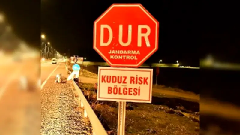 Edremit'te Kuduz Vakası: 7 Mahallede Karantina ve Kısıtlamalar