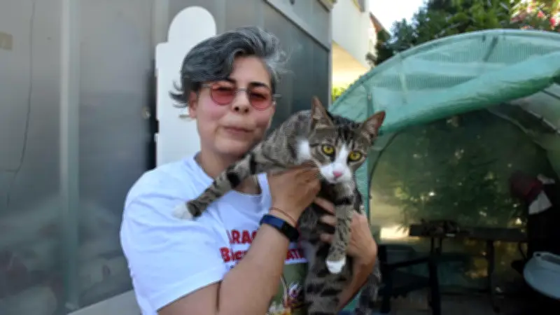 Erkek Sanılan Kedi Cengo Doğum Yapınca Çift Cinsiyetli Olduğu Anlaşıldı