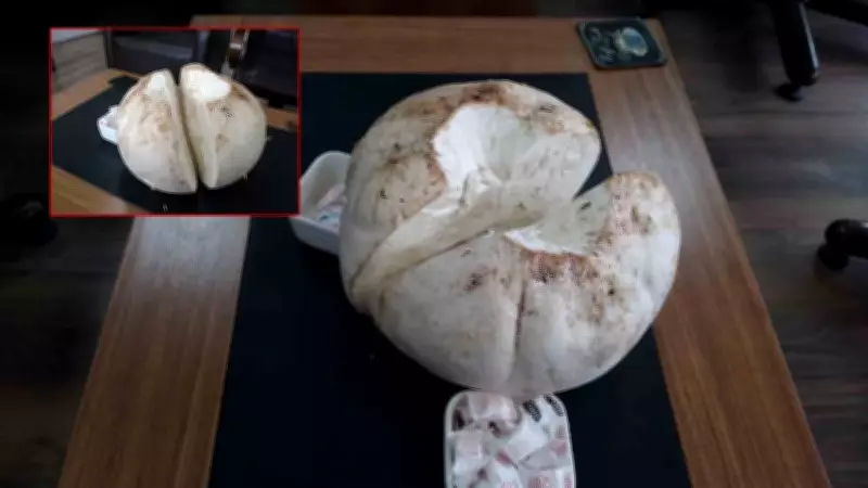Erzincan'da 5 kiloluk dev mantar bulundu