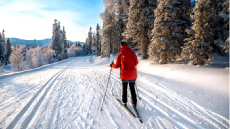 Finlandiya'da Turistlere Özel Hazine Avı: 20 Bin Euro Değerinde Altın Gizlendi