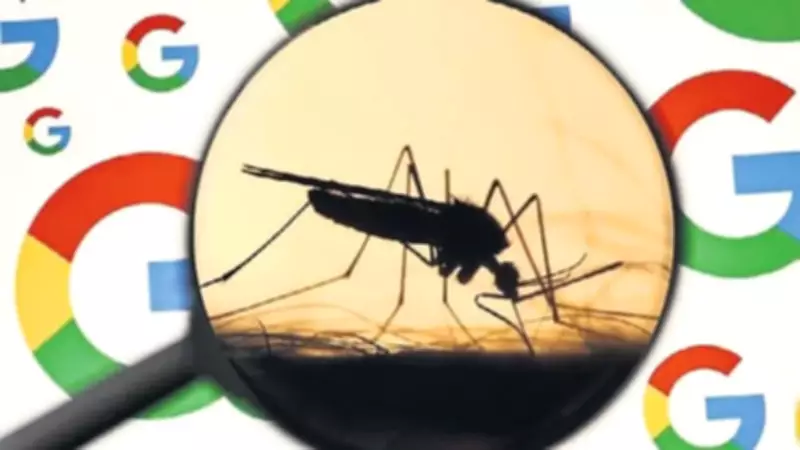 Google Neden 32 Milyon Sivrisinek Üretti?