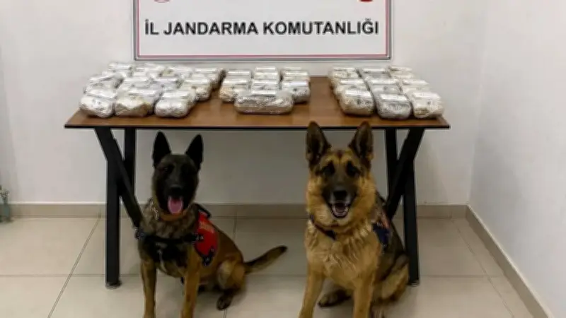 Hakkari'de 21 Kilo 650 Gram Toz Esrar Ele Geçirildi, 2 Gözaltı