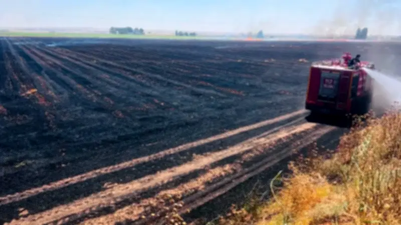 Harran'da 500 Dönümlük Tarlada Anız Yangını: İtfaiye Müdahale Etti