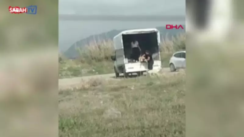 Hatay'da koruma altındaki sulak alana kamyonetle köpek bıraktılar
