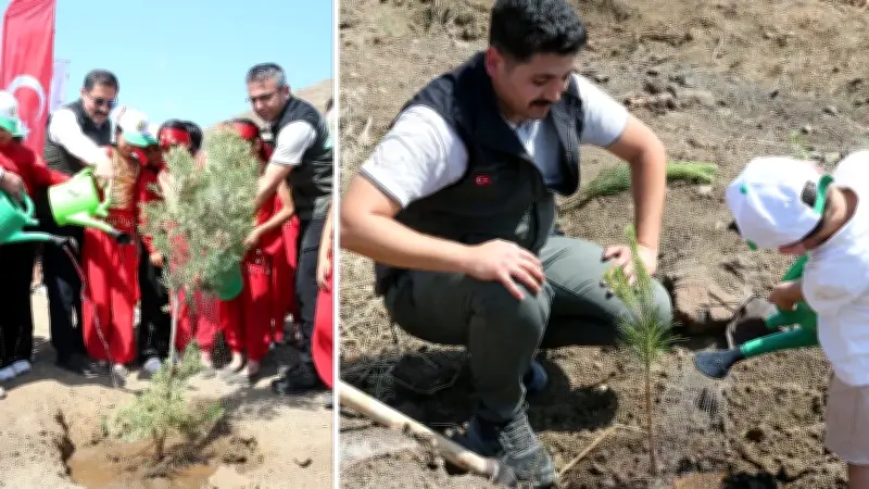 Hatay'da Yangınzede Alana 1000 Fidan Dikildi