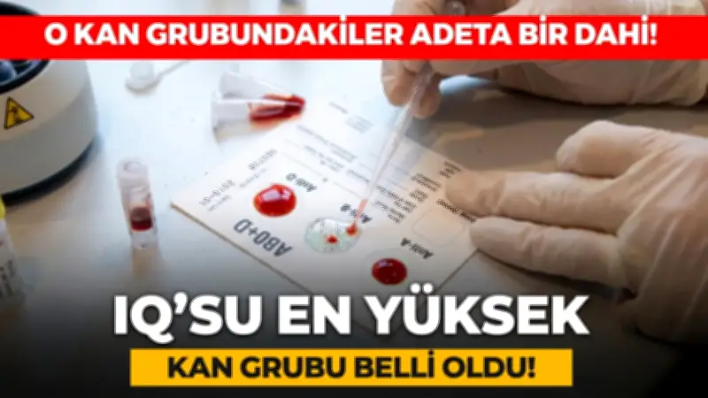 IQ'su En Yüksek Kan Grubu Hangisi? Japon Bilim İnsanları Açıkladı