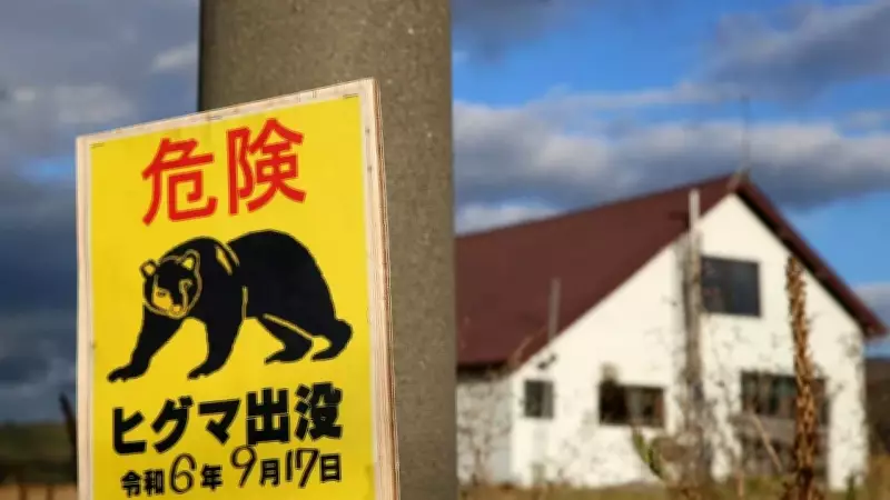 Japonya'da fabrikaya giren ayı bal ve elma tuzağından kaçtı