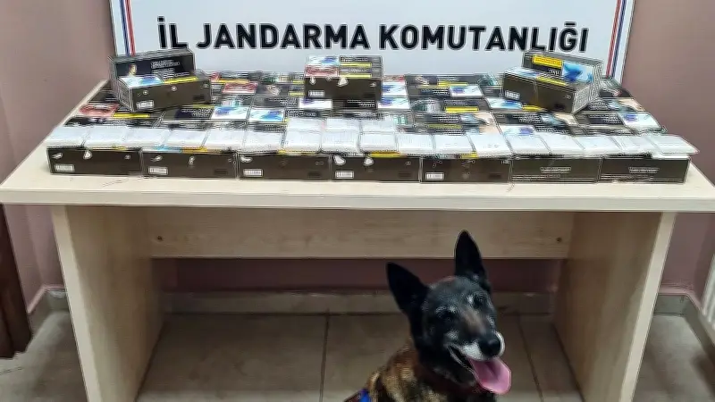 Kayseri Pınarbaşı'nda Jandarmadan 10 Bin Makaron Ele Geçirildi
