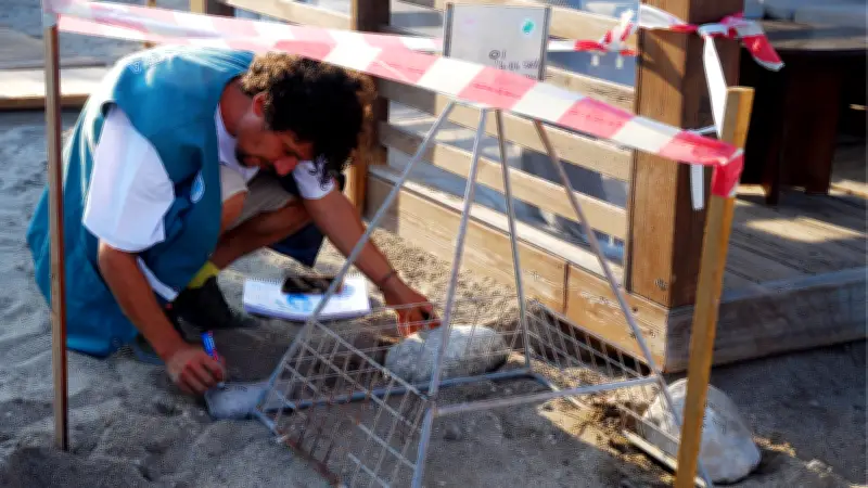 Kemer Sahillerinde 38 Deniz Kaplumbağası Yuvası Korumaya Alındı