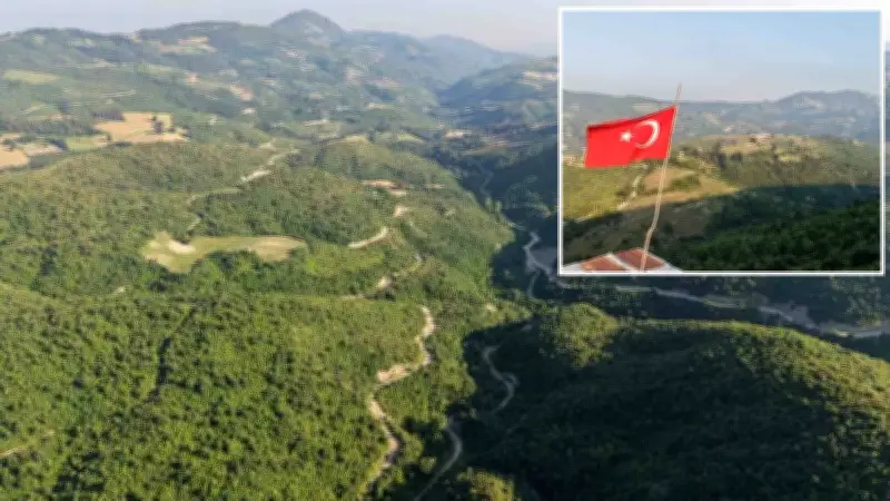 Kozan'da 650 Bin Fidanla Küllerinden Doğan Orman