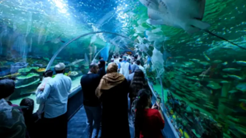 Körfez Aqua Kıtalar Akvaryumu'na Açılış Günü 15 Bin 150 Ziyaretçi Akını