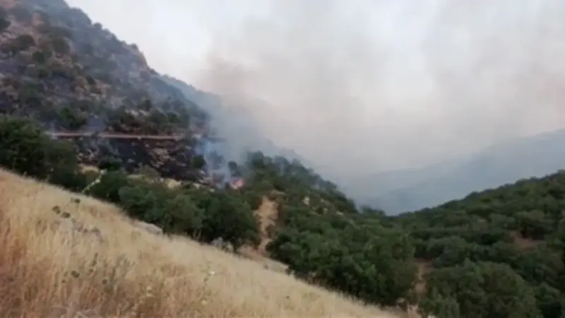 Mardin Kızıltepe'de örtü yangını kontrol altına alındı