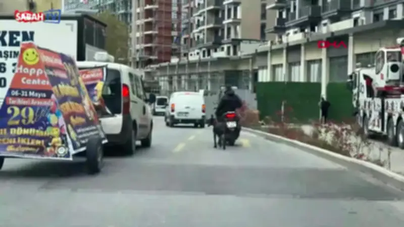 Motosiklete Bağladığı Köpeği Koşturana 8 Bin 678 Lira Ceza