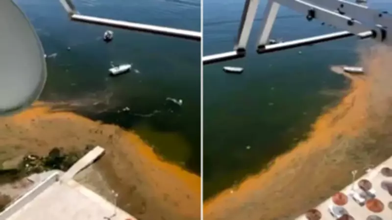 Müsilaj Gemlik Körfezi'nde Deniz Keyfini Kaçırdı